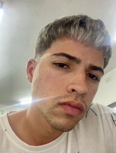 files/resena_1.png